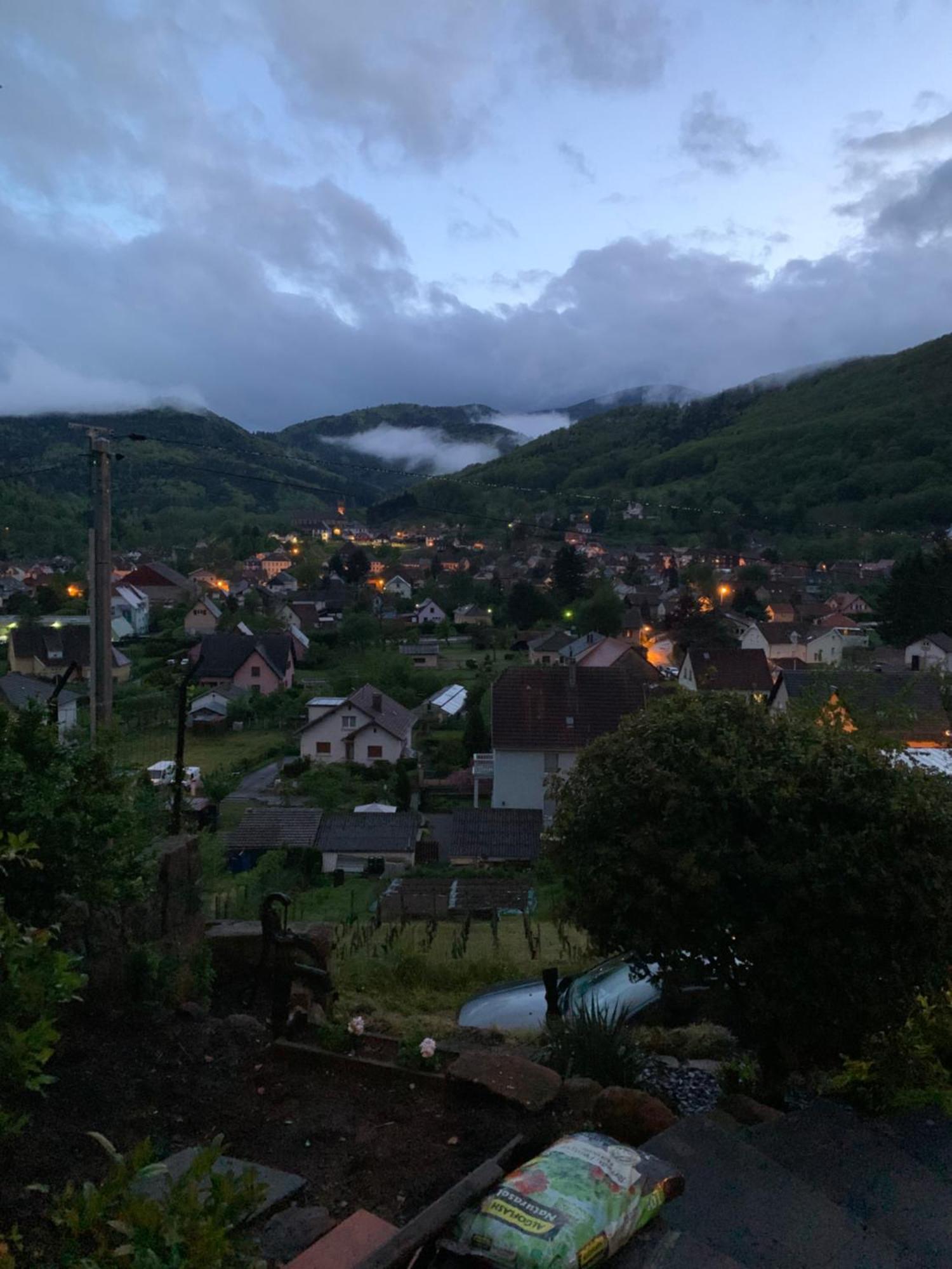 Ferienwohnung Au Reposoir - Vue Sur La Montagne Buhl Exterior foto